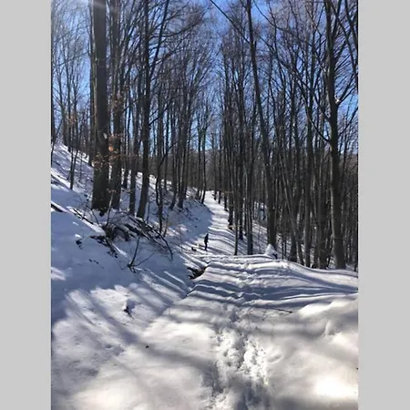 Happy Trails * Gabarevo
